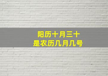 阳历十月三十是农历几月几号