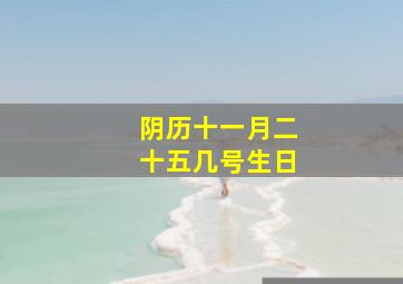 阴历十一月二十五几号生日