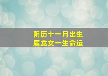 阴历十一月出生属龙女一生命运