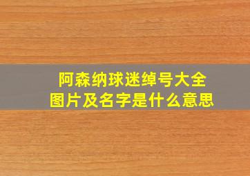 阿森纳球迷绰号大全图片及名字是什么意思