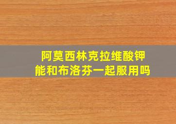 阿莫西林克拉维酸钾能和布洛芬一起服用吗