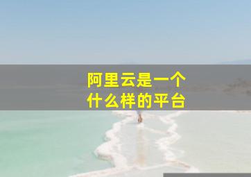 阿里云是一个什么样的平台