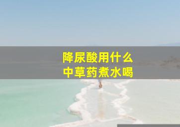 降尿酸用什么中草药煮水喝