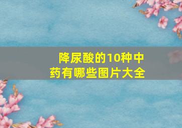 降尿酸的10种中药有哪些图片大全