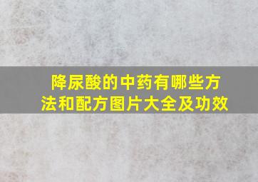 降尿酸的中药有哪些方法和配方图片大全及功效