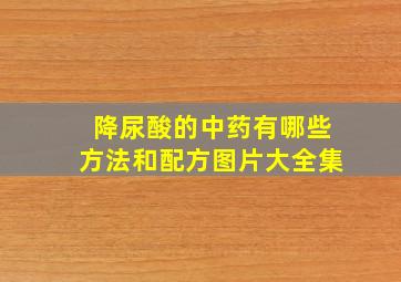 降尿酸的中药有哪些方法和配方图片大全集