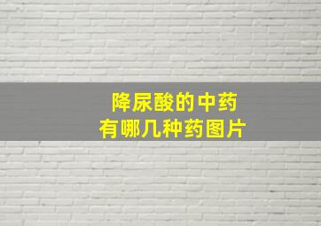 降尿酸的中药有哪几种药图片