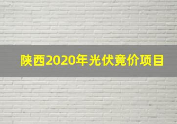 陕西2020年光伏竞价项目