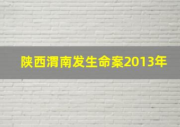 陕西渭南发生命案2013年