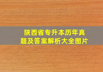 陕西省专升本历年真题及答案解析大全图片