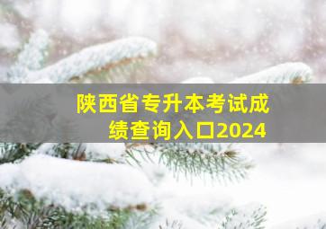 陕西省专升本考试成绩查询入口2024