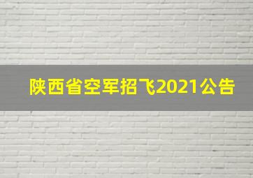 陕西省空军招飞2021公告