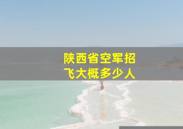 陕西省空军招飞大概多少人