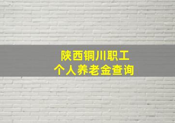 陕西铜川职工个人养老金查询