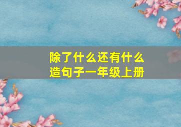 除了什么还有什么造句子一年级上册