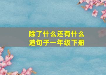 除了什么还有什么造句子一年级下册