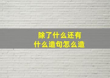 除了什么还有什么造句怎么造