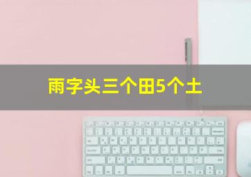 雨字头三个田5个土