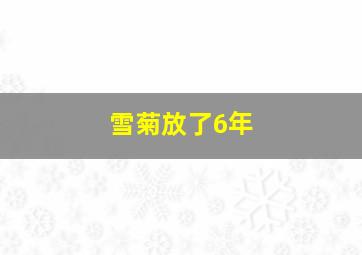 雪菊放了6年