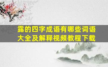 露的四字成语有哪些词语大全及解释视频教程下载