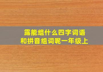 露能组什么四字词语和拼音组词呢一年级上