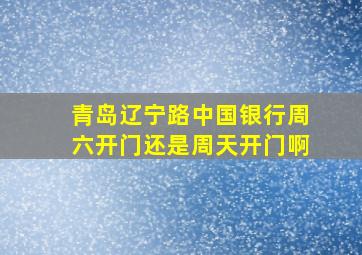 青岛辽宁路中国银行周六开门还是周天开门啊