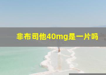 非布司他40mg是一片吗