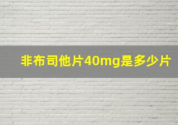 非布司他片40mg是多少片