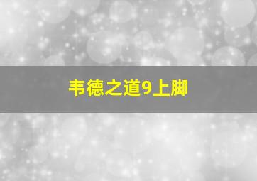 韦德之道9上脚