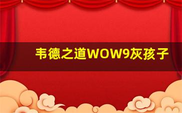 韦德之道WOW9灰孩子