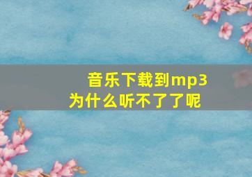 音乐下载到mp3为什么听不了了呢