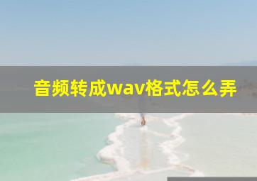 音频转成wav格式怎么弄