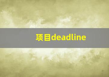 项目deadline