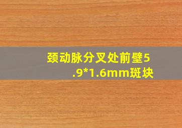 颈动脉分叉处前壁5.9*1.6mm斑块