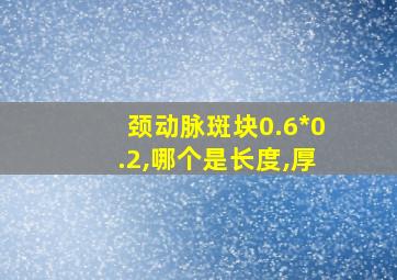 颈动脉斑块0.6*0.2,哪个是长度,厚