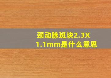 颈动脉斑块2.3X1.1mm是什么意思