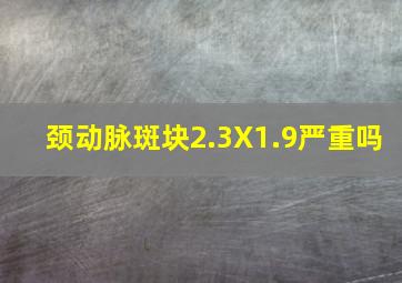 颈动脉斑块2.3X1.9严重吗