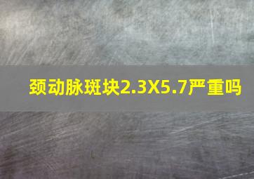 颈动脉斑块2.3X5.7严重吗