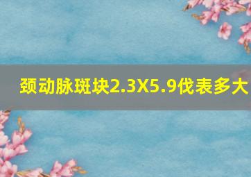 颈动脉斑块2.3X5.9伐表多大