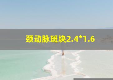 颈动脉斑块2.4*1.6