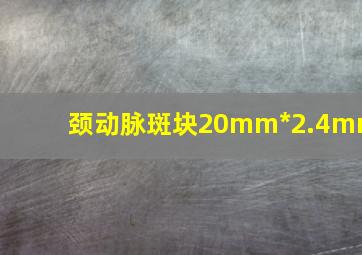 颈动脉斑块20mm*2.4mm