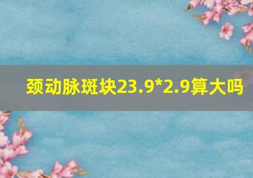 颈动脉斑块23.9*2.9算大吗