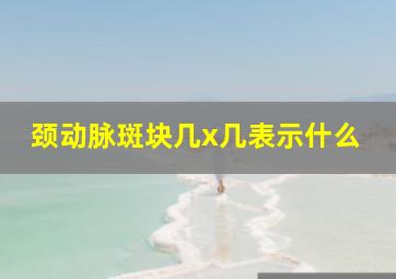 颈动脉斑块几x几表示什么