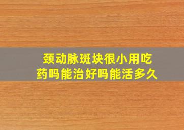 颈动脉斑块很小用吃药吗能治好吗能活多久