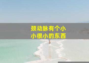 颈动脉有个小小很小的东西