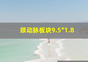 颈动脉板块9.5*1.8