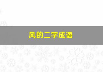 风的二字成语