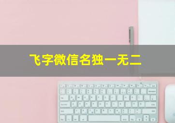 飞字微信名独一无二