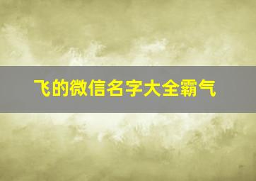 飞的微信名字大全霸气