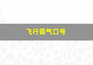 飞行霸气口号